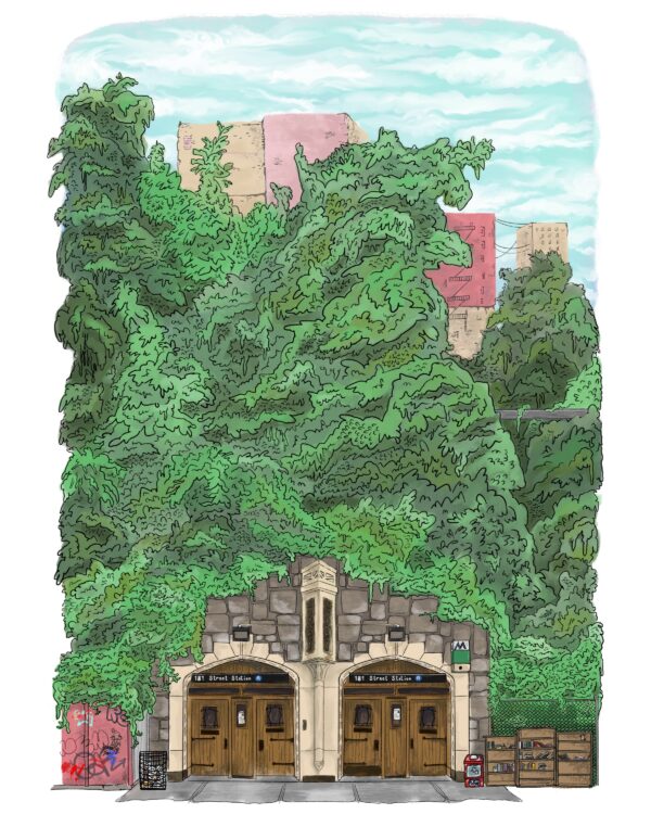 - Image 8 of 8