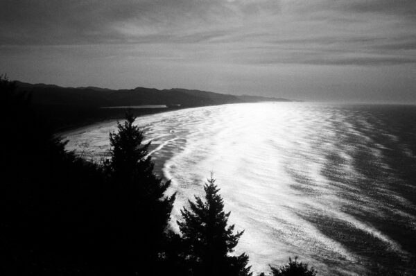  - Image 2 of 8