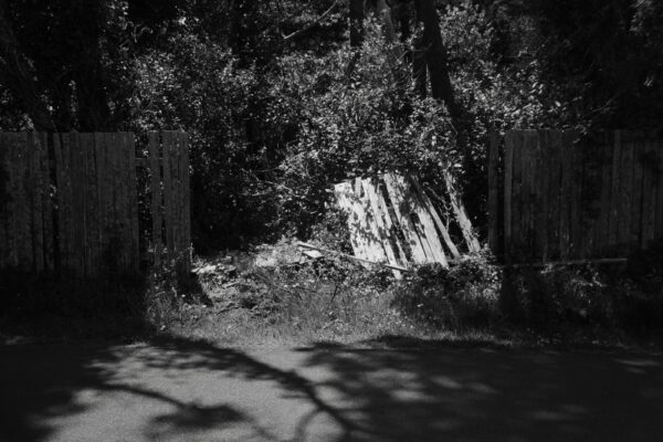  - Image 6 of 8