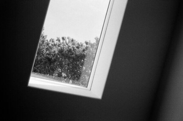  - Image 7 of 8