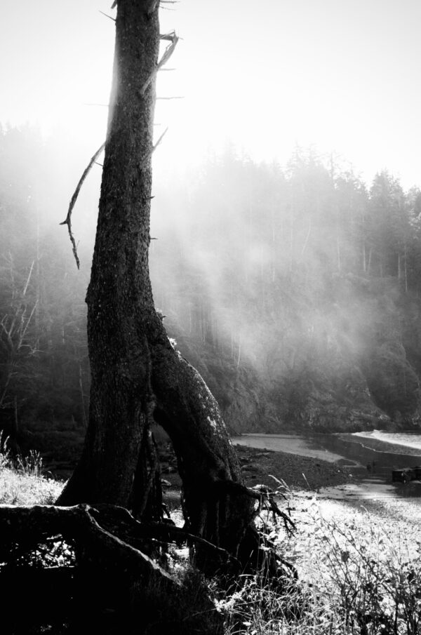  - Image 4 of 8