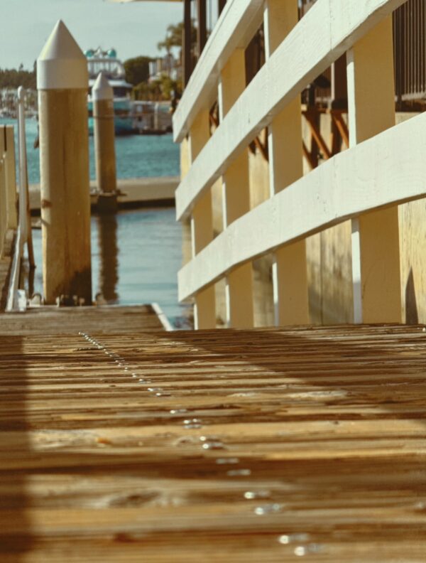  - Image 8 of 8
