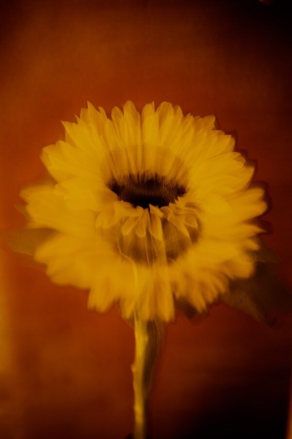  - Image 8 of 8