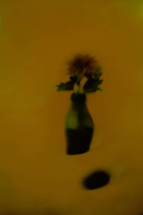  - Image 5 of 8