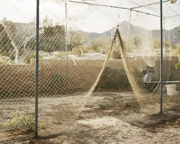  - Image 6 of 8