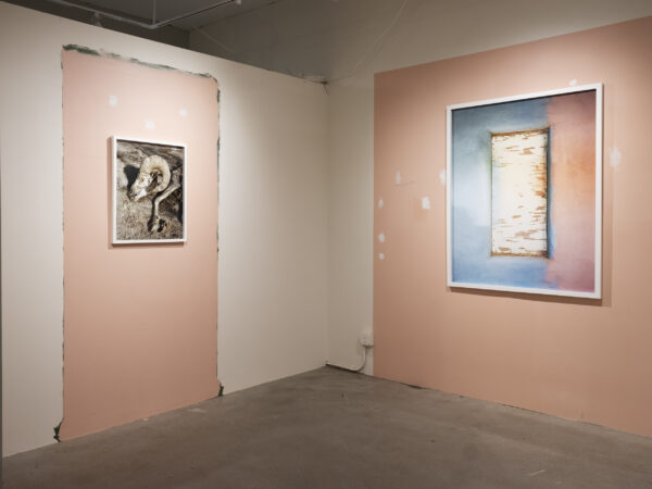  - Image 7 of 8